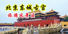 欧美肥阴逼黄片中国北京-东城古宫旅游风景区